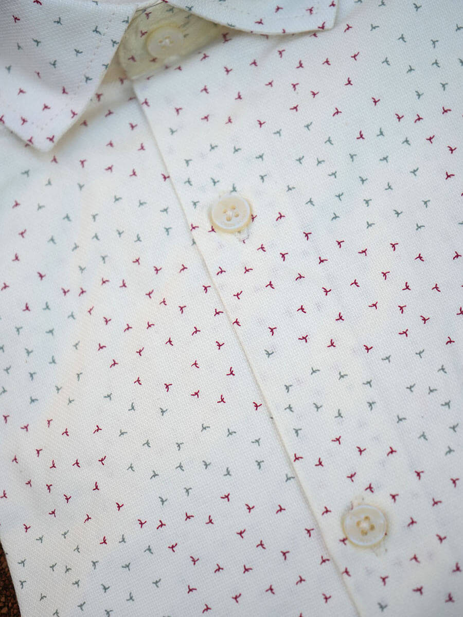 Milk white red and green tiny bird